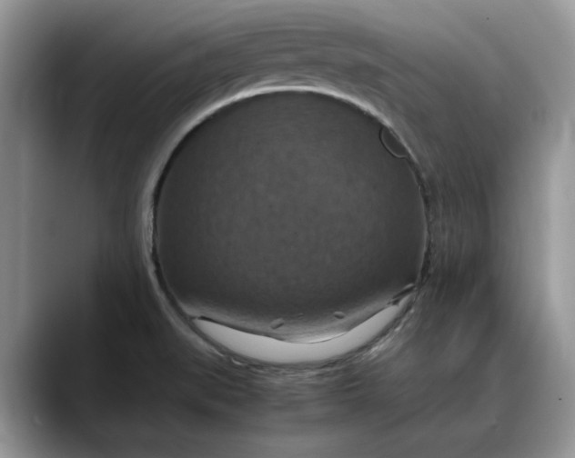 X0000088231519200705292123