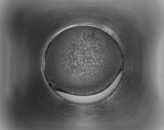 X0000088231520200705292123