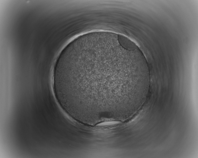 X0000088231523200705292124