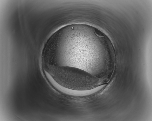 X0000088231525200705292124