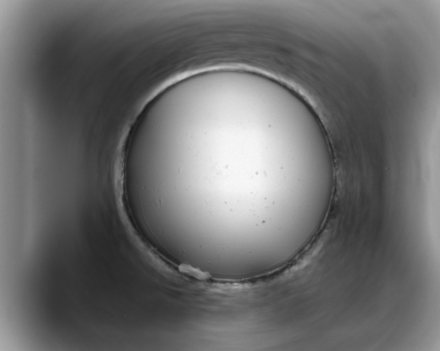 X0000088231526200705292124