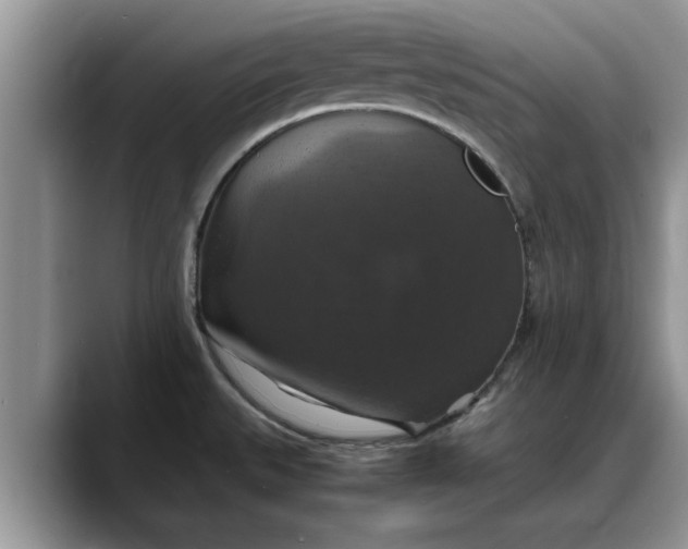 X0000088231527200705292124