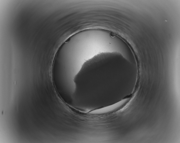 X0000088231529200705292124