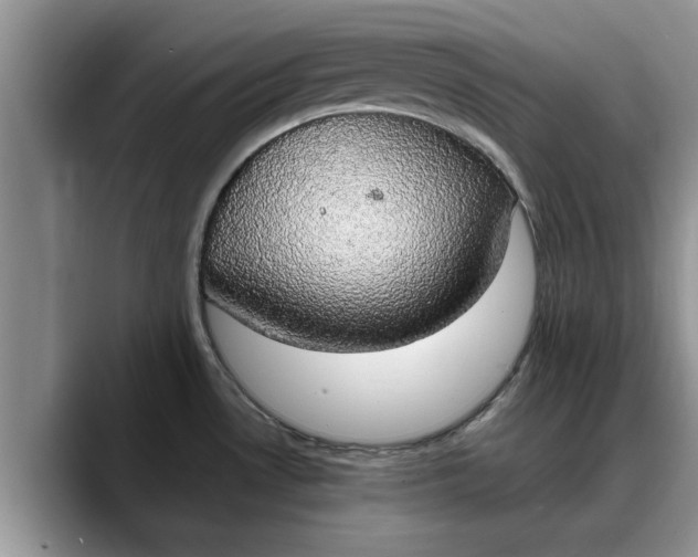 X0000088231530200705292124