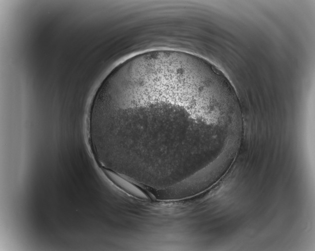 X0000088231531200705292124
