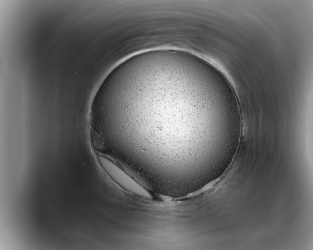 X0000088231532200705292124