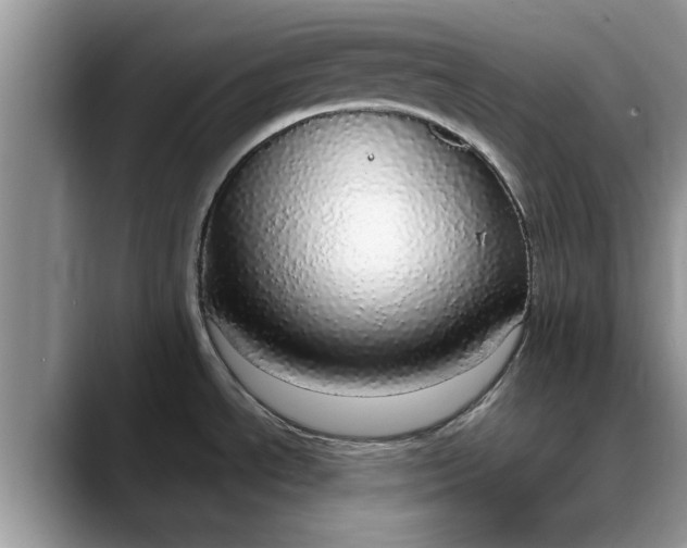 X0000088231534200705292124