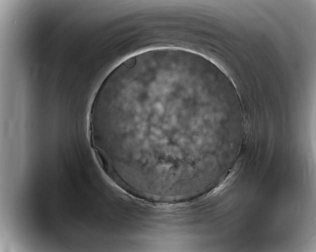 X0000088231535200705292124