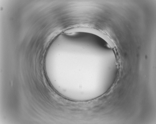 X0000088230001200706051359