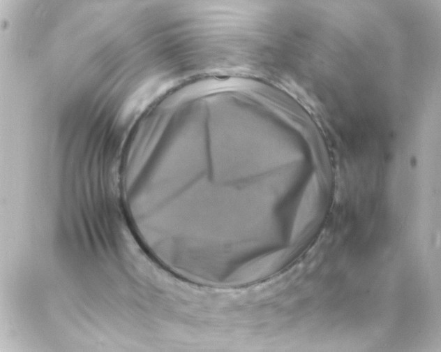 X0000088230002200706051359