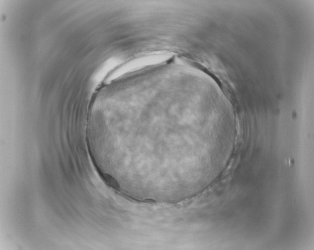 X0000088230003200706051359