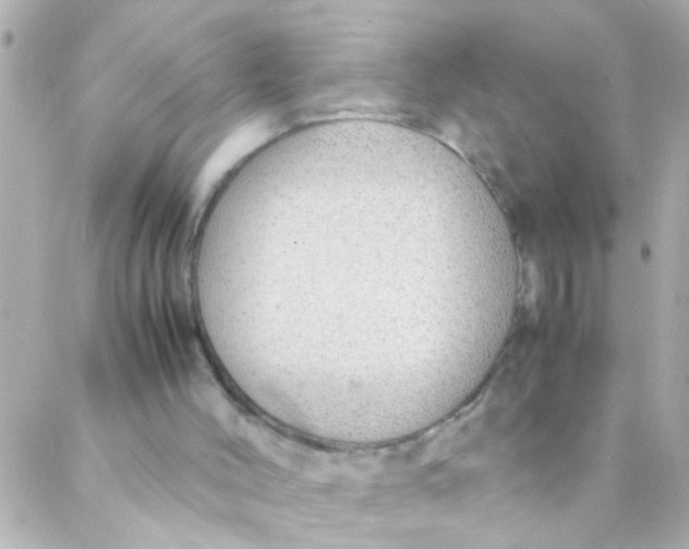 X0000088230004200706051359