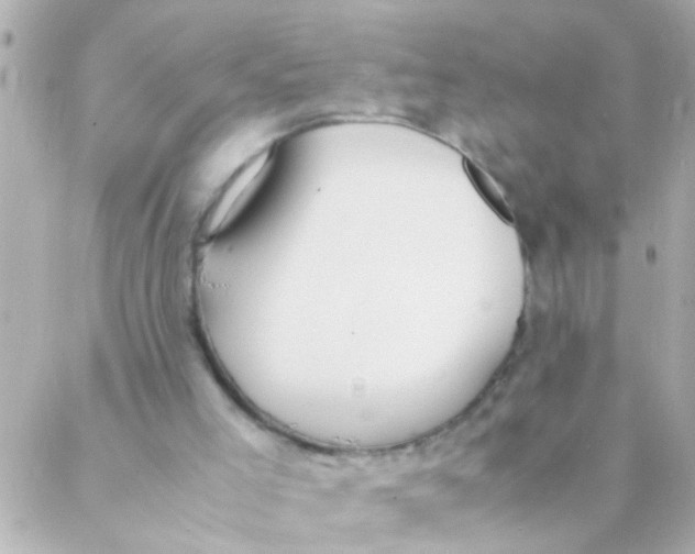 X0000088230005200706051359