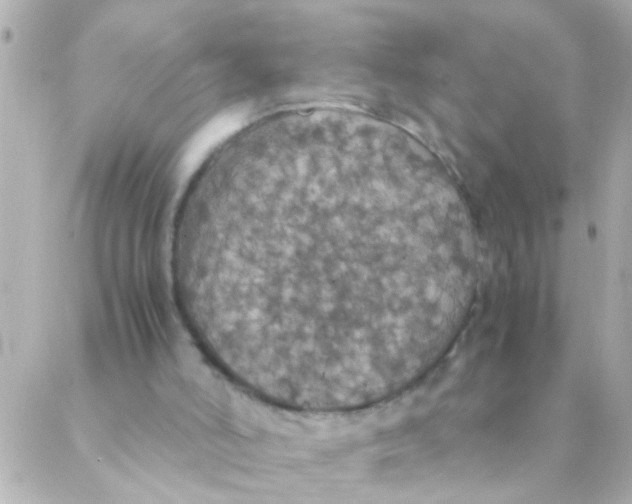 X0000088230006200706051359