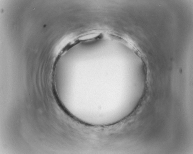 X0000088230007200706051359