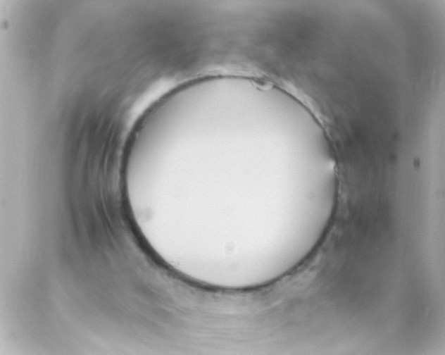 X0000088230008200706051359