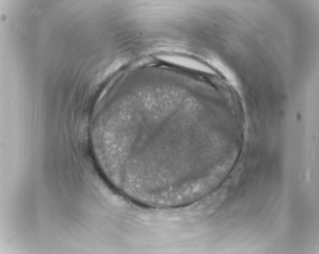 X0000088230009200706051359