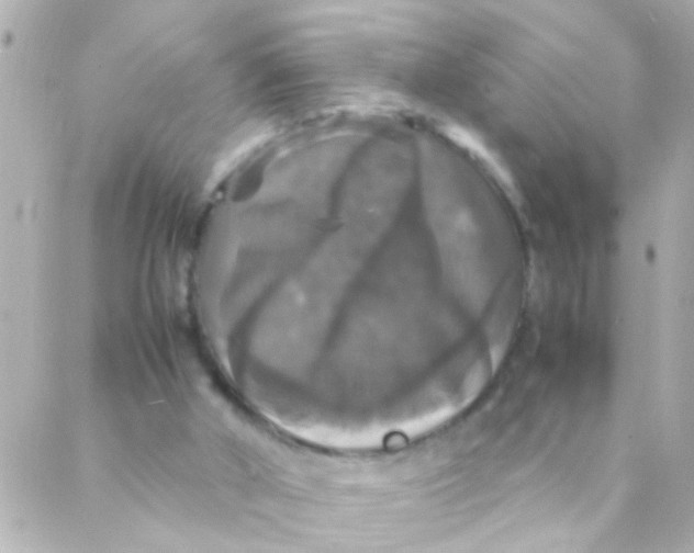 X0000088230010200706051359