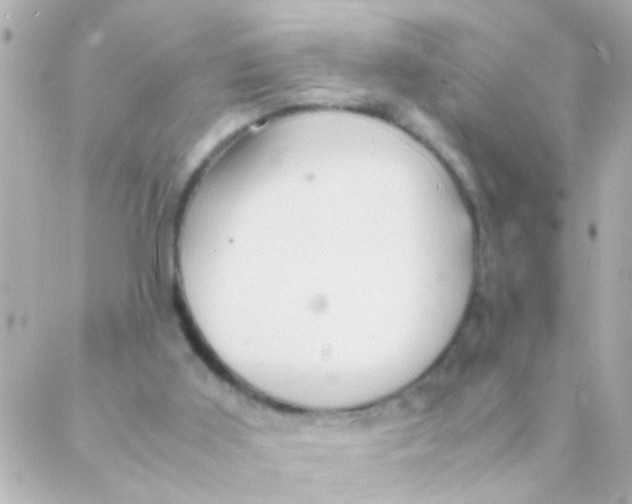 X0000088230011200706051359