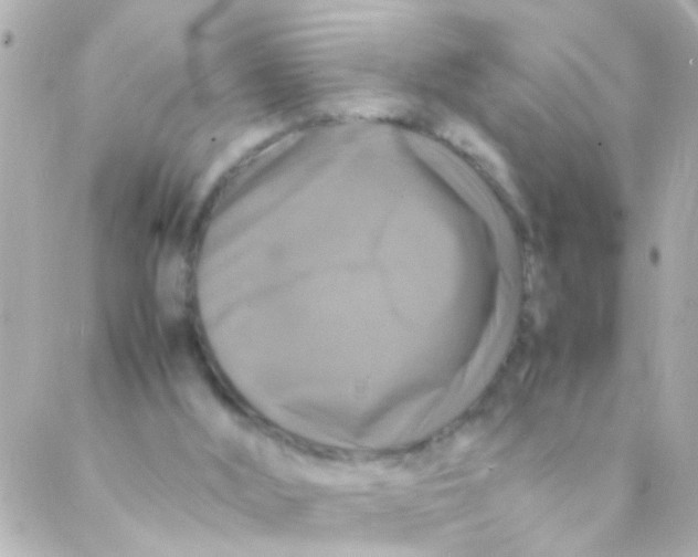 X0000088230012200706051359