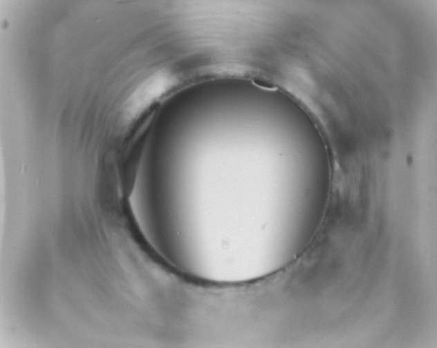 X0000088230013200706051359