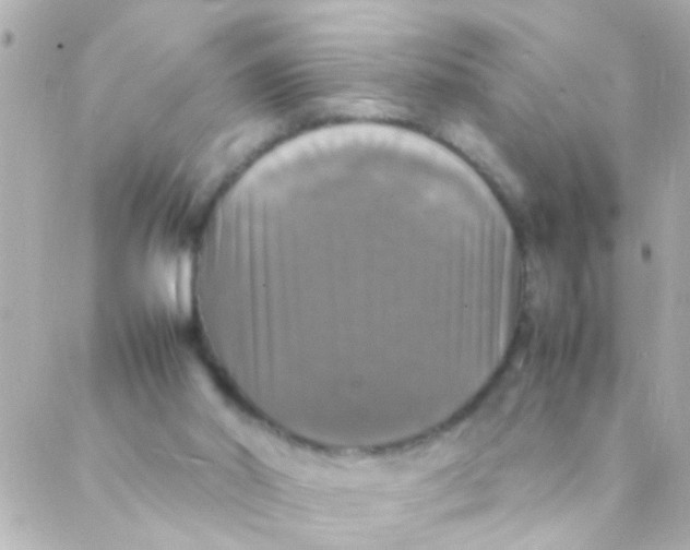 X0000088230014200706051359