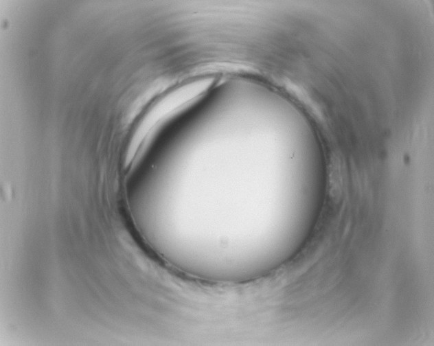 X0000088230015200706051359