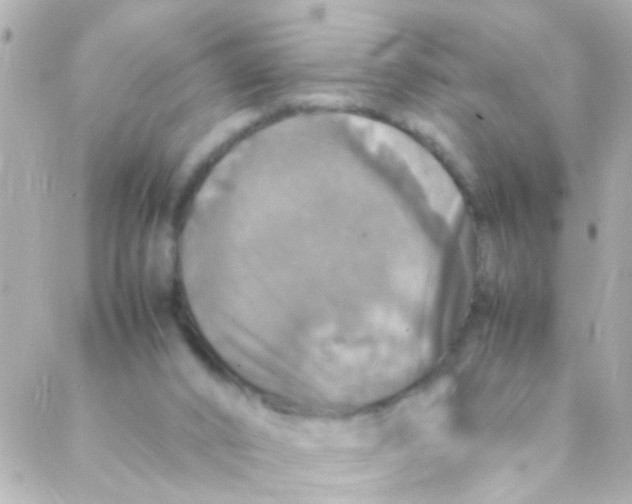 X0000088230016200706051359