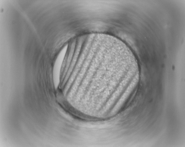 X0000088230017200706051359