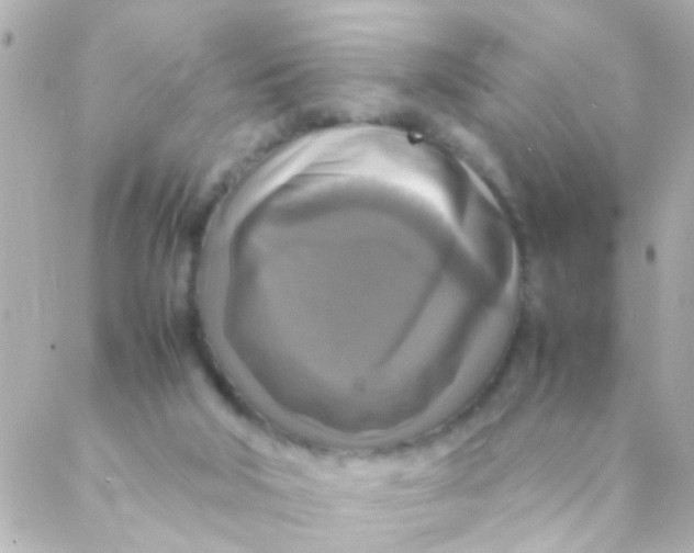 X0000088230018200706051359