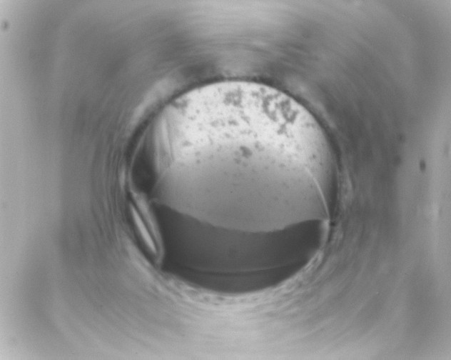 X0000088230019200706051359