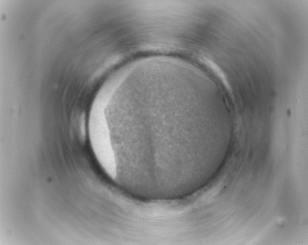 X0000088230020200706051359