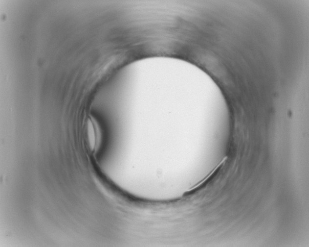 X0000088230021200706051359