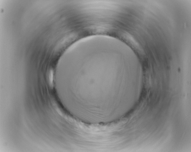 X0000088230022200706051359