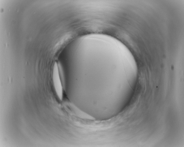 X0000088230023200706051359