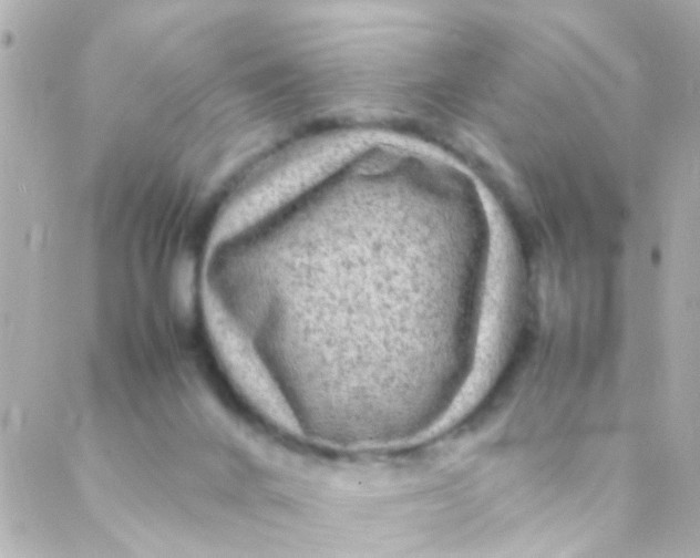 X0000088230024200706051359