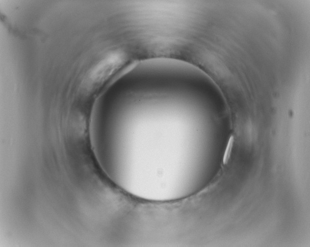 X0000088230025200706051359