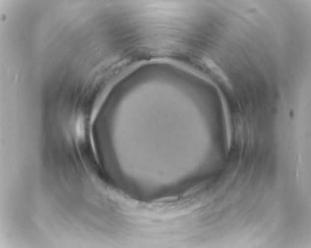 X0000088230026200706051359