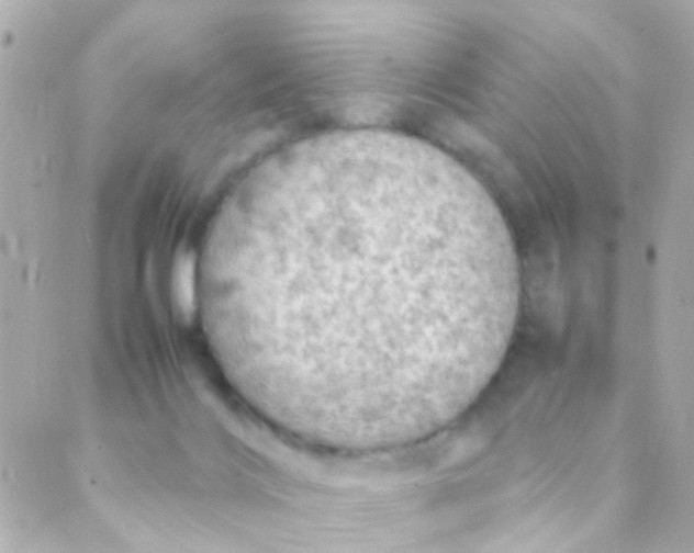 X0000088230028200706051359