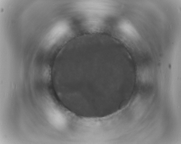 X0000088230029200706051359