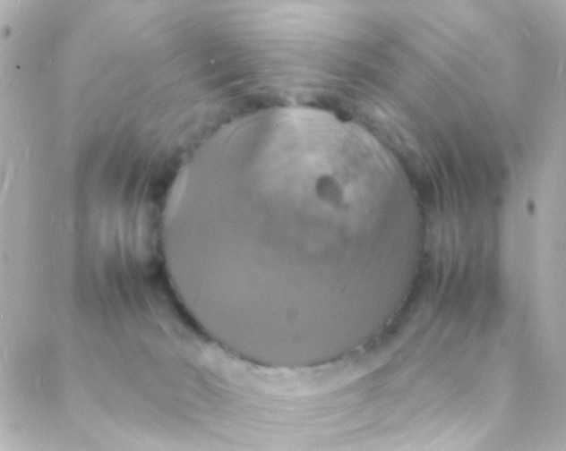 X0000088230030200706051359