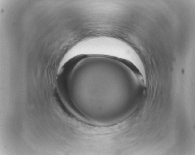 X0000088230031200706051359