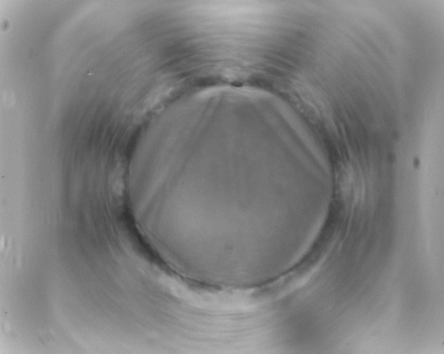 X0000088230032200706051359