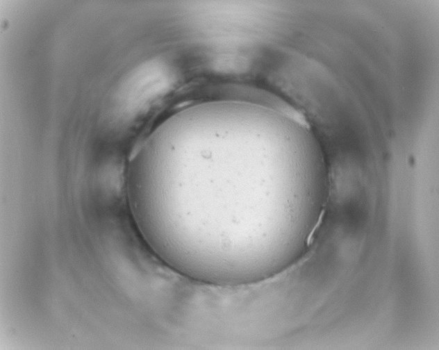 X0000088230033200706051359