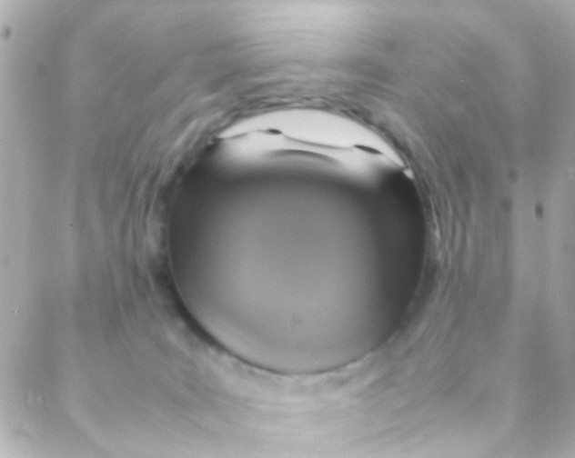 X0000088230035200706051359