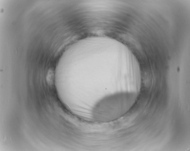 X0000088230036200706051359