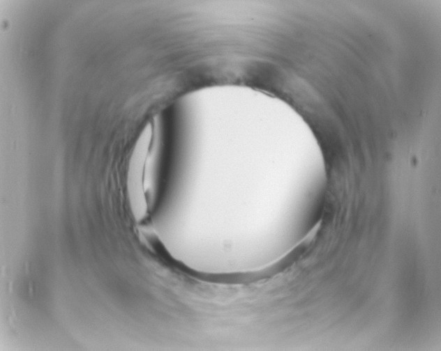 X0000088230037200706051359