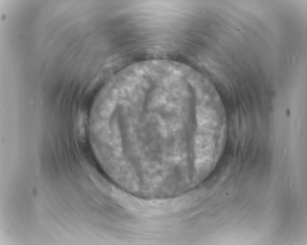 X0000088230038200706051359