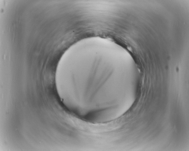 X0000088230039200706051359