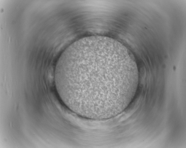 X0000088230040200706051359